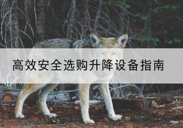薛城升降货梯厂家推荐-*安全选购升降设备指南