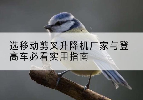 薛城电动升降机厂家-选移动剪叉升降机厂家与登高车必看实用指南
