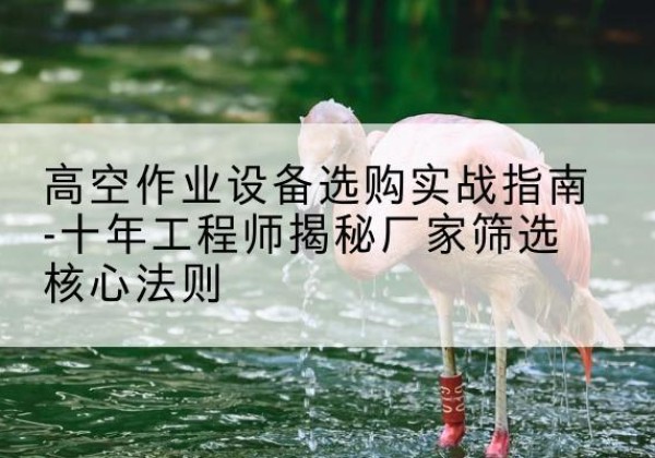 薛城剪叉式升降机厂家-高空作业设备选购实战指南-十年工程师揭秘厂家筛选核心法则
